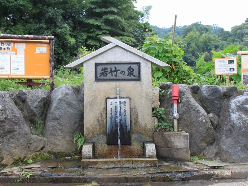 若竹の泉